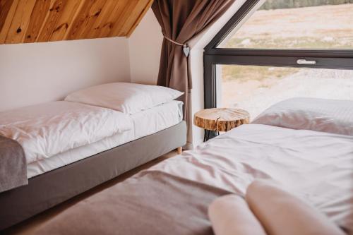 two beds in a room with a window at Lasosfera Lasówka in Lasowka