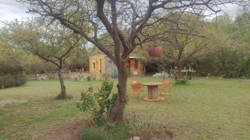 una mesa y sillas en un patio junto a un árbol en Chañares en San Javier
