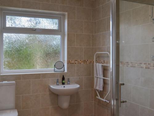a bathroom with a sink and a shower with a window at Hollands Pond in Thorpe Saint Peter
