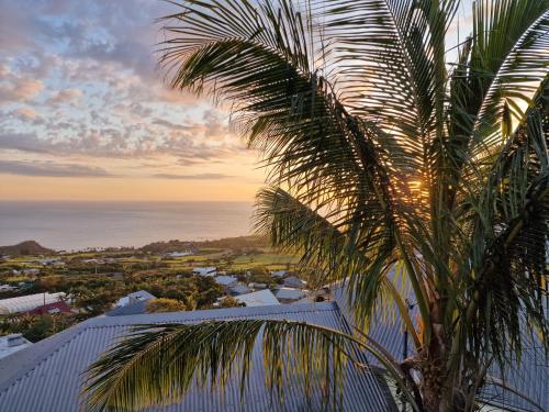 a palm tree in front of a building with the ocean at Villa ARC-EN-CIEL in Petite Île