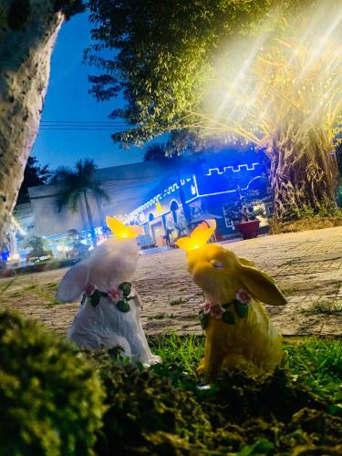two stuffed animals sitting in the grass in front of an airplane at D'Villa Hotel - Homestay in Kon Tum