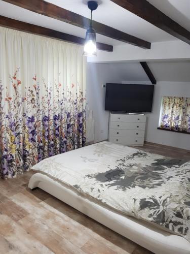 a bedroom with a bed and a flat screen tv at Casa David in Gura Hangului