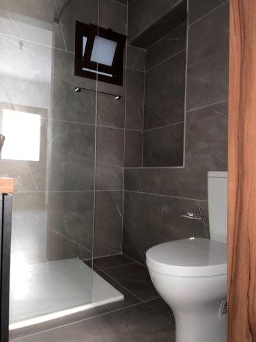 uma casa de banho com um WC e um chuveiro em Maria's Apartment 2 em Galata