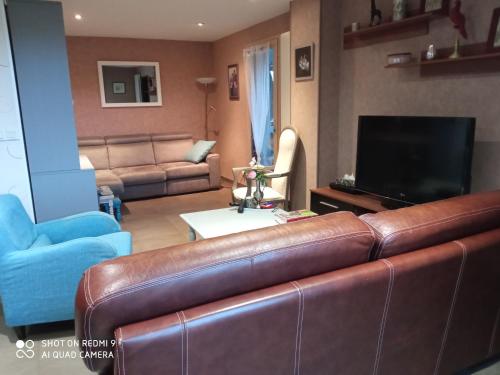 a living room with a leather couch and a television at LA PETITE MEUNIERE 