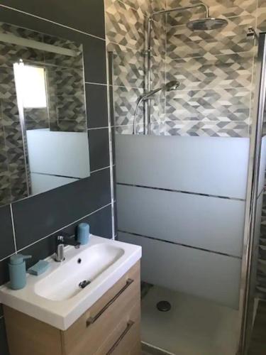 a bathroom with a sink and a shower and a mirror at Charmante Cabane Bois in Gujan-Mestras