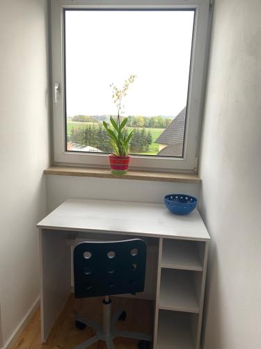 a desk under a window with a plant on it at Ferienwohnung Coburger Land, ländlich gut gelegen in Meeder