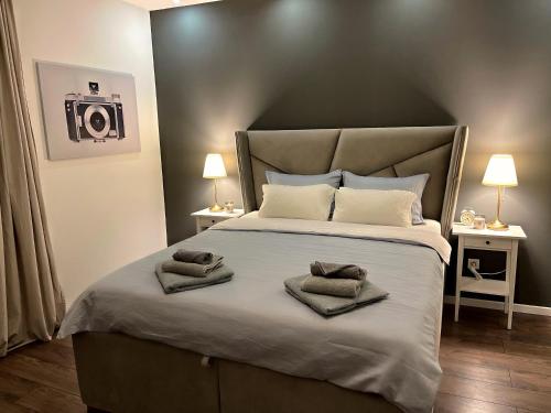 Cama o camas de una habitación en Allure of Belgrade (80m2-861ft2)