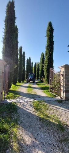 a driveway with a car parked on the side of a road at Agriturismo La Scarpaia in Anghiari