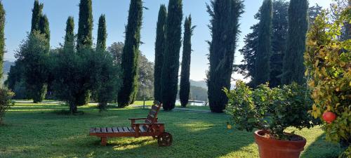 a wooden bench sitting in a park with trees at Agriturismo La Scarpaia in Anghiari