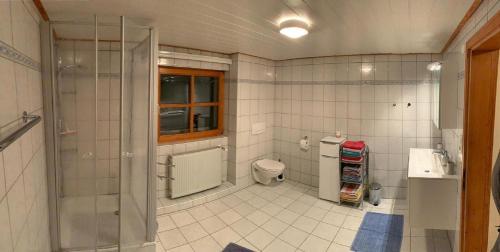 a bathroom with a shower and a toilet at Ferienwohnung Schäfer in Rinchnach