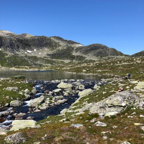 a river in a field with rocks and a mountain at Leilighet Beitostølen sentrum, terrasse og innendørs parkering in Beitostøl