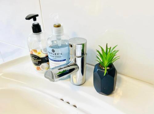 un lavabo con una botella de jabón y una planta en LEITH WALK VILLA budget guest house, en Edimburgo