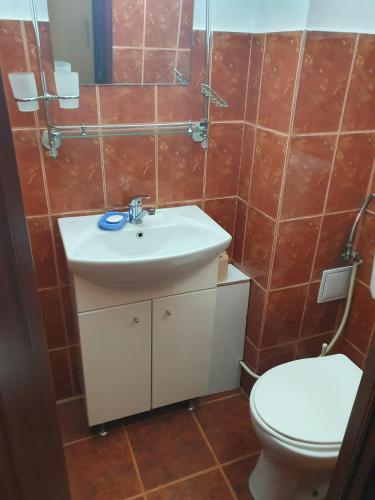 uma casa de banho com um lavatório e um WC em Apartament Remali em Oradea