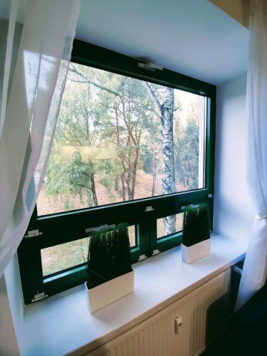 a window with two candles in front of it at Szmaragdowy Apartament nad Zalewem in Serock