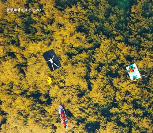 an overhead view of cars parked in a forest at Xavia Hotel Quy Nhơn in Quy Nhon
