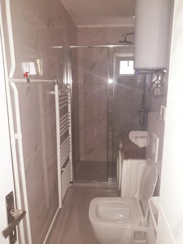 une salle de bains avec douche et toilettes dans l'établissement apartman oli, à Sarajevo