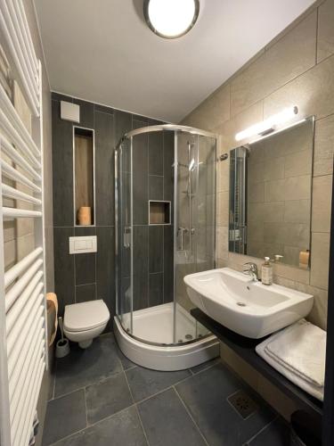 y baño con ducha, lavabo y aseo. en Sunshine Apartments Golte E4, en Mozirska Koča