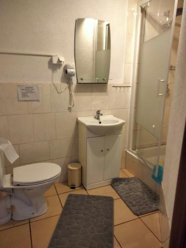 a bathroom with a toilet and a sink and a shower at Pod Piramidą in Ługniany