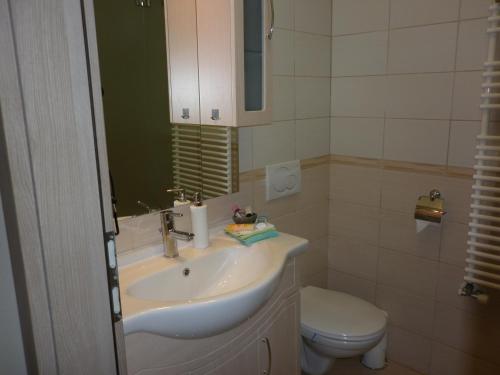 Luxury Villa Heviz في هفيز: حمام مع حوض ومرحاض