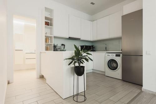 a white kitchen with a washing machine and a plant at Ambassador Apartment in Baia Mare