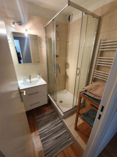 een badkamer met een douche en een wastafel bij Superbe 2 pièces, centre vue Mont-Blanc avec balcon et parking gratuit in Chamonix-Mont-Blanc