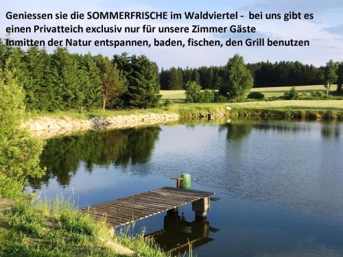 ein Bild eines Sees mit einem Dock in der Unterkunft Sommerfrische Waldviertel in Kirchberg am Walde