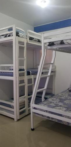 マニラにあるInnsite Room Rentalsの二段ベッド2組とはしごが備わる客室です。