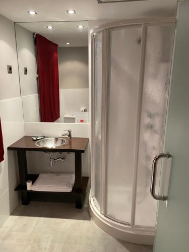 a bathroom with a shower and a sink at Hostal Royal Almorox in Almorox