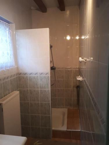 une salle de bain avec une douche avec une porte vitrée dans l'établissement Gîte¨ La Maison du sculpteur ¨, à Bay