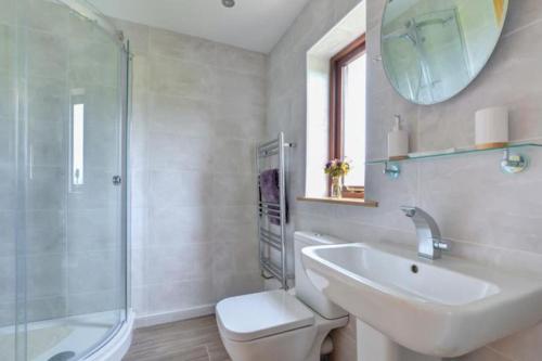 a bathroom with a sink and a toilet and a mirror at Sunset View a quiet and romantic rural retreat for 2 adults just outside ingleton in Ingleton 