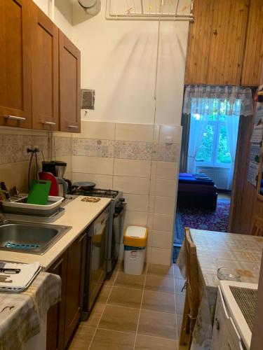 Il comprend une petite cuisine équipée d'un évier et d'une cuisinière. dans l'établissement Eliz Apartment, à Budapest