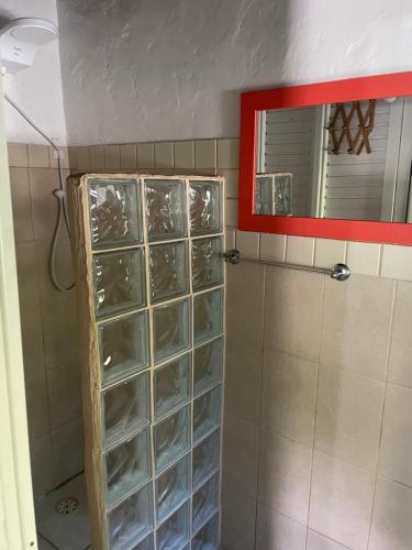 a shower with clear glass shelves in a bathroom at Alemao Cabanas in Camburi