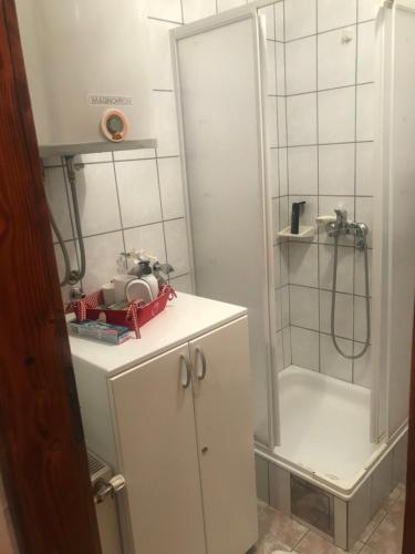 a bathroom with a shower and a white cabinet at Marija in Zlatibor