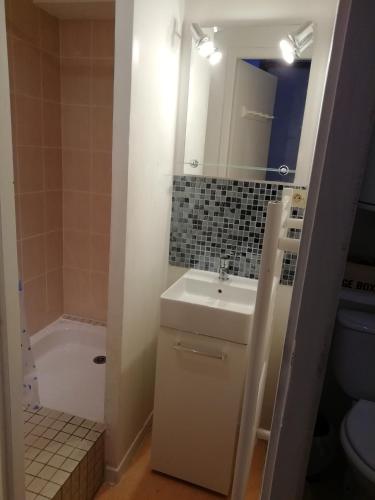 une salle de bain avec un lavabo, des toilettes et une douche dans l'établissement Luz nature, à Luz-Saint-Sauveur