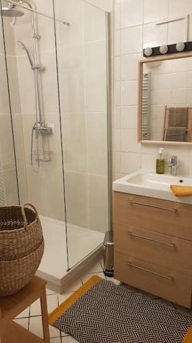 une salle de bain avec douche et lavabo dans l'établissement Superbe 2 pièces avec grande terrasse, classé ***, à Marseille