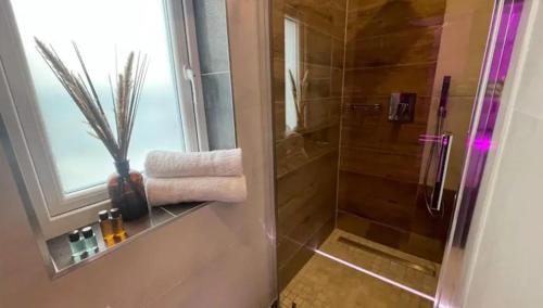 a bathroom with a shower and a towel at TGHA Luxury Apartments in Athlone in Athlone