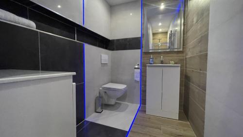a bathroom with a toilet and a glass shower at TGHA Luxury Apartments in Athlone in Athlone