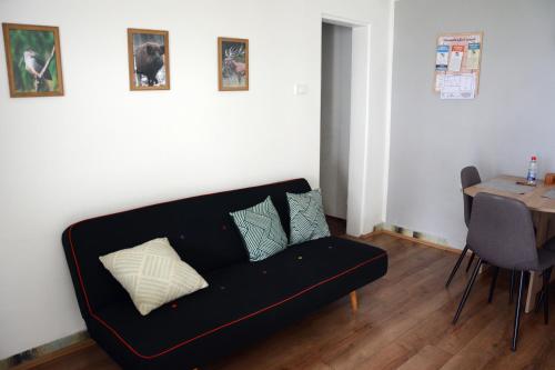 ein schwarzes Sofa im Wohnzimmer mit einem Tisch in der Unterkunft Apatin apartman in Apatin