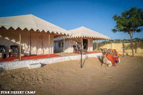 a camel standing in front of a tent at Star Desert Camp Jaisalmer in Jaisalmer