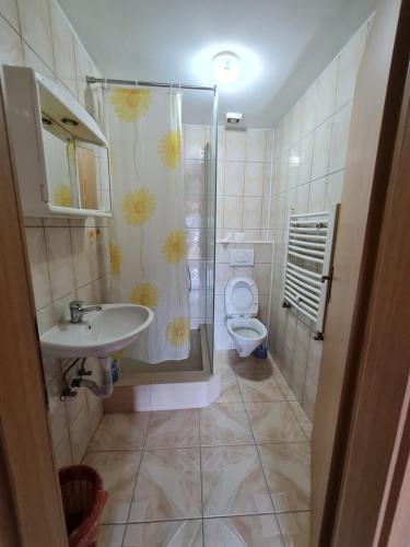 a bathroom with a shower and a sink and a toilet at Holiday in Ferizaj