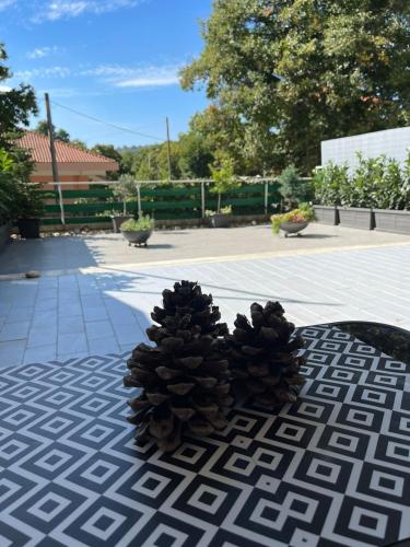 a pair of pine cones sitting on top of a table at Belappart in Fiuggi