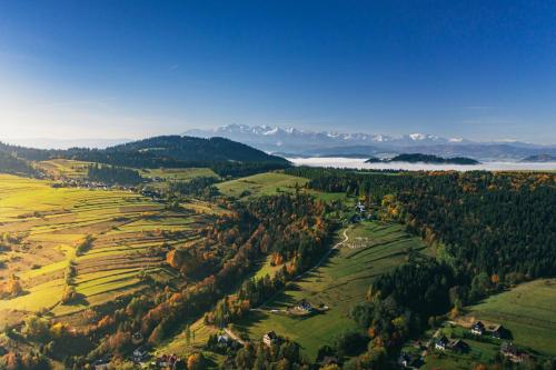 an aerial view of a valley with fields and trees at Słoneczny Domek in Grywałd