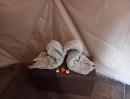 a pair of towels sitting on top of a box at Domo Glamping Monteverde in Monteverde Costa Rica