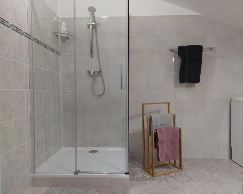 baño con cabina de ducha con puerta de cristal en Ubytování v podkroví, en Jeseník