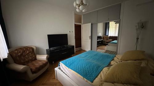 Μια τηλεόραση ή/και κέντρο ψυχαγωγίας στο Cosy apartman in green Buda