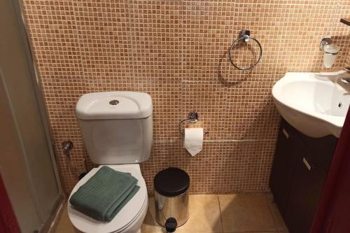 een kleine badkamer met een toilet en een wastafel bij Irene's Cottage House in Kértezi