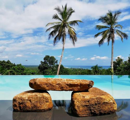 ゴールにあるTabula Rasa Resort & Spaの岩2本とヤシの木2本があるプール
