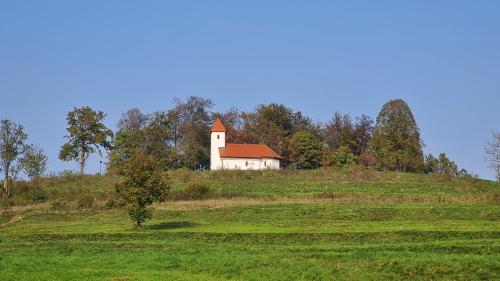 a white house on top of a hill in a field at Apartma Alda in Preserje