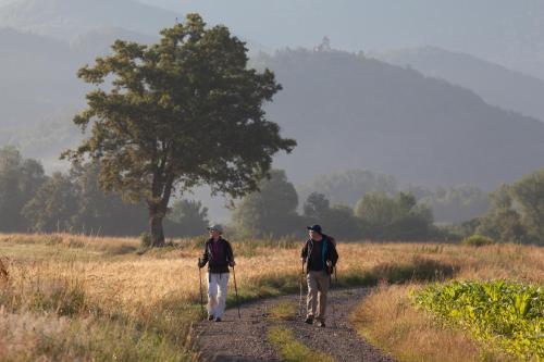 two people walking down a dirt road with sticks at Apartma Alda in Preserje