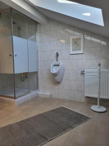 uma casa de banho com um WC, um chuveiro e um tapete. em Countryside apartment em Volkenschwand
